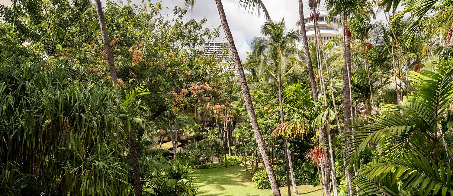 View of the lush Coconut Grove garden from the Historic Garden Room at The Royal Hawaiian.