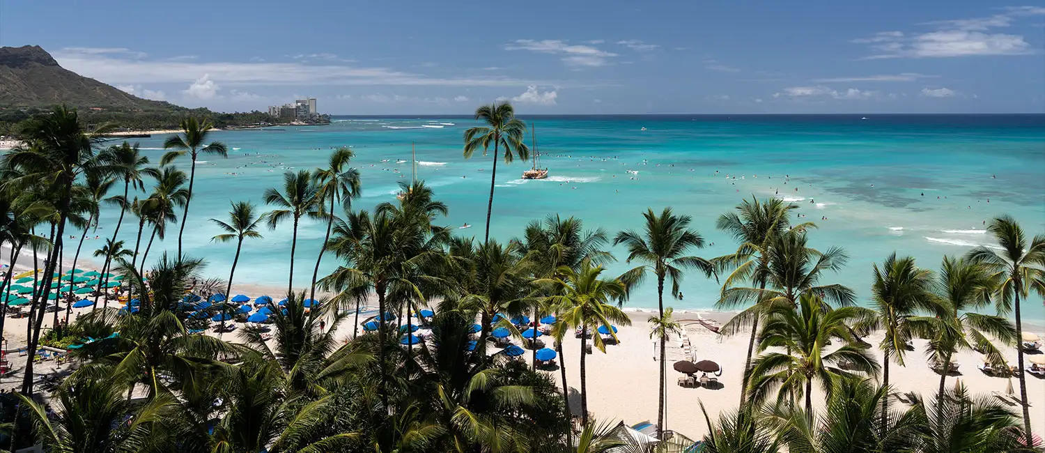 Emerald-blue view of Waikiki Beach with palm trees and sailing boats.