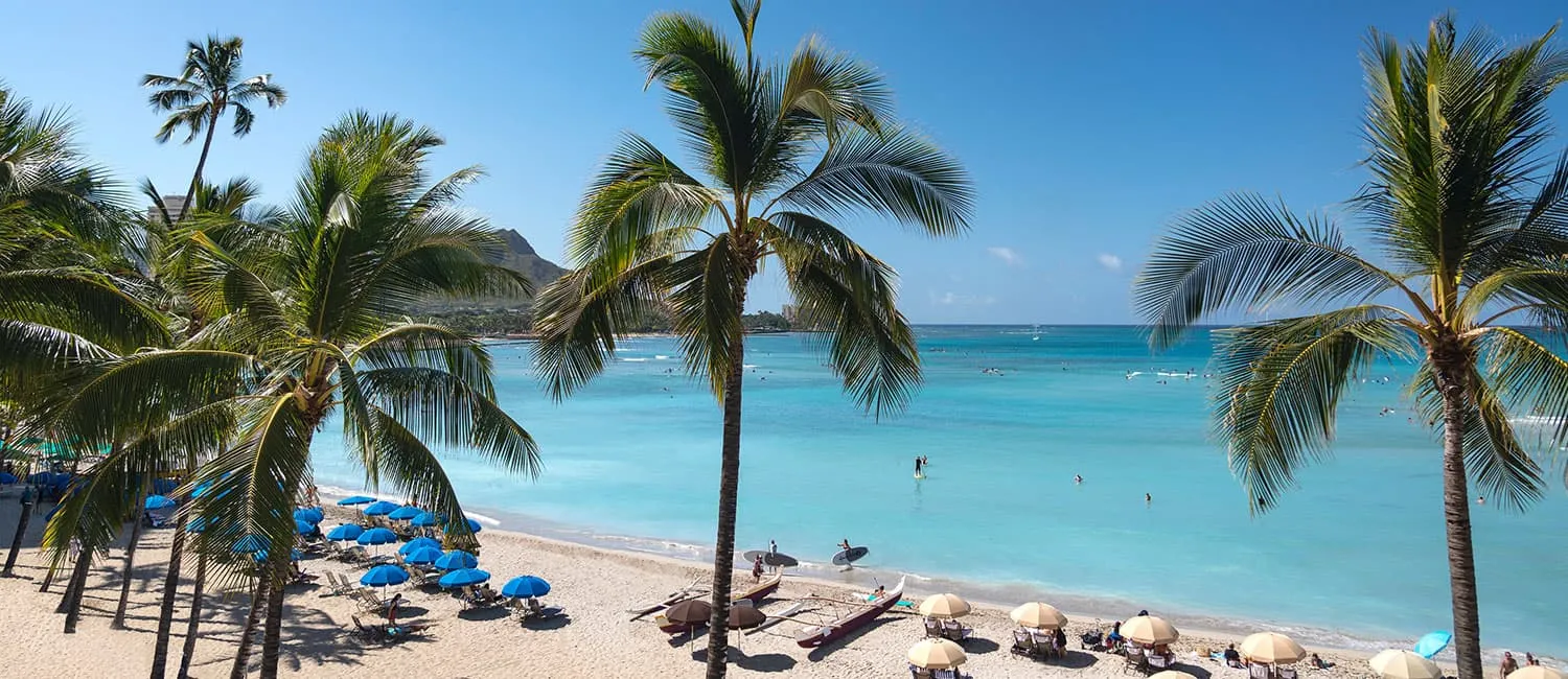 View of Waikiki Beach with palm trees and blue umbrellas.