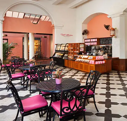 Photo of interior of bakery